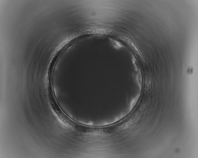 X0000100200674200806131230