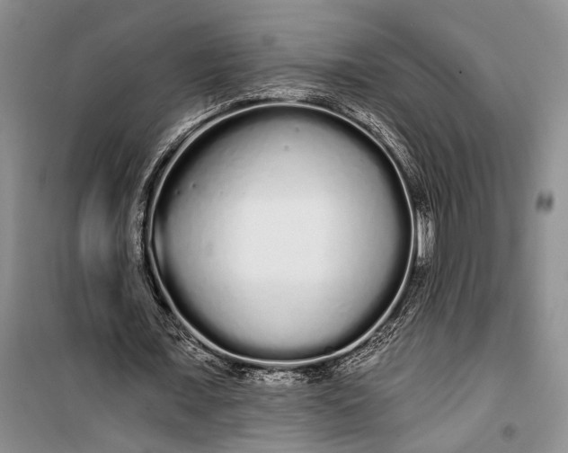 X0000100200675200806131230