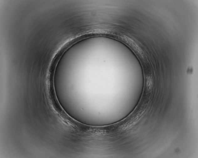 X0000100200676200806131230