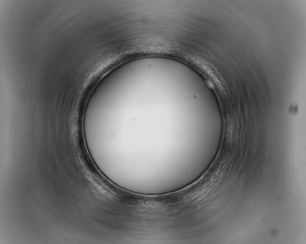 X0000100200677200806131230