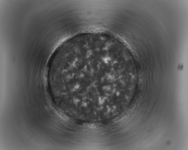 X0000100200679200806131230