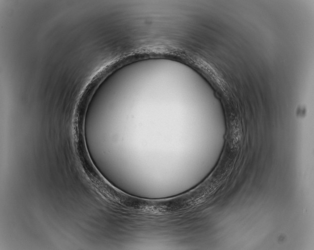 X0000100200680200806131230