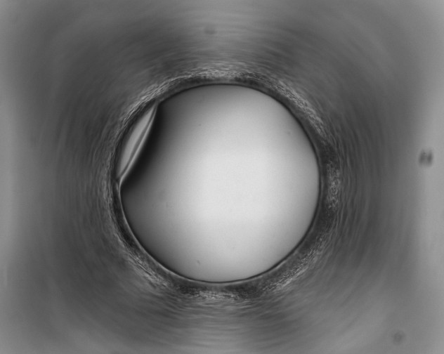 X0000100200681200806131230