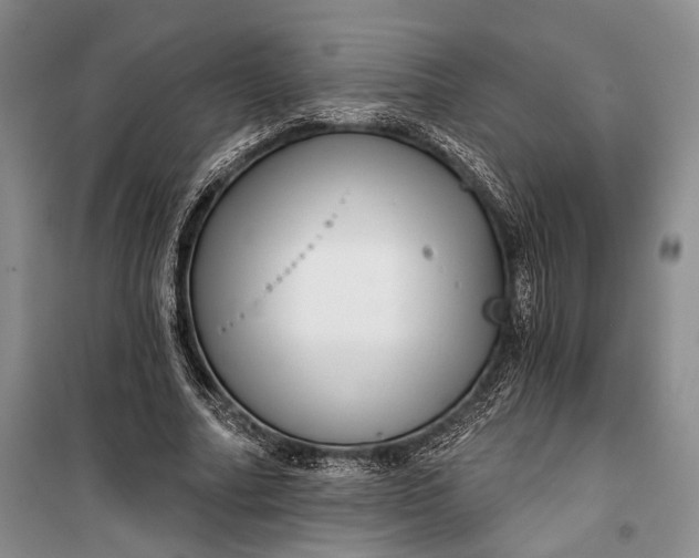 X0000100200682200806131230