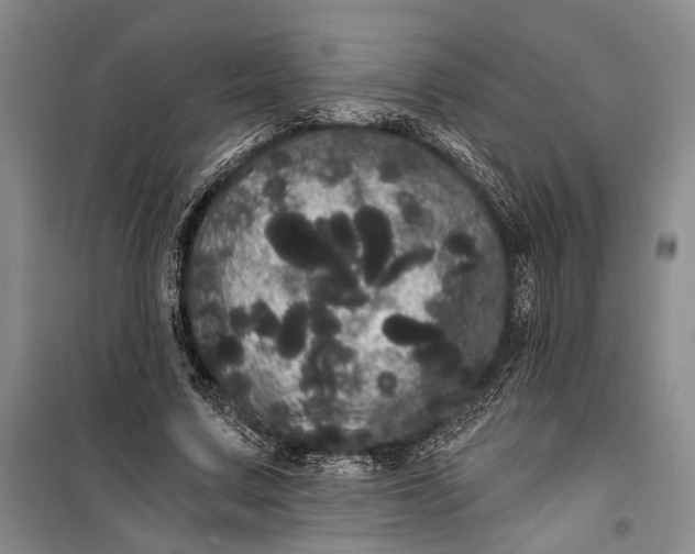 X0000100200683200806131230