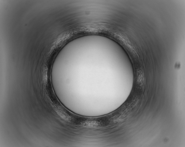 X0000100200685200806131230