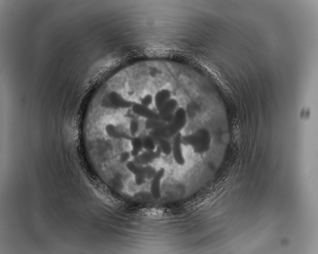 X0000100200687200806131230