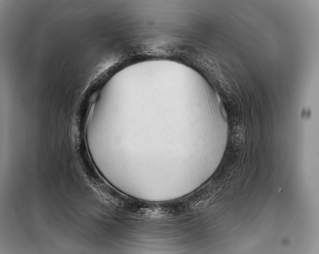 X0000100200688200806131230