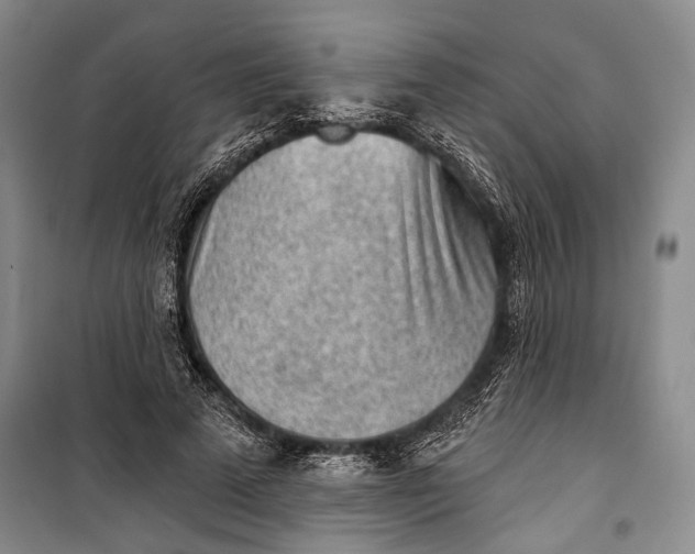 X0000100200689200806131230