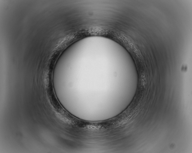 X0000100200690200806131230