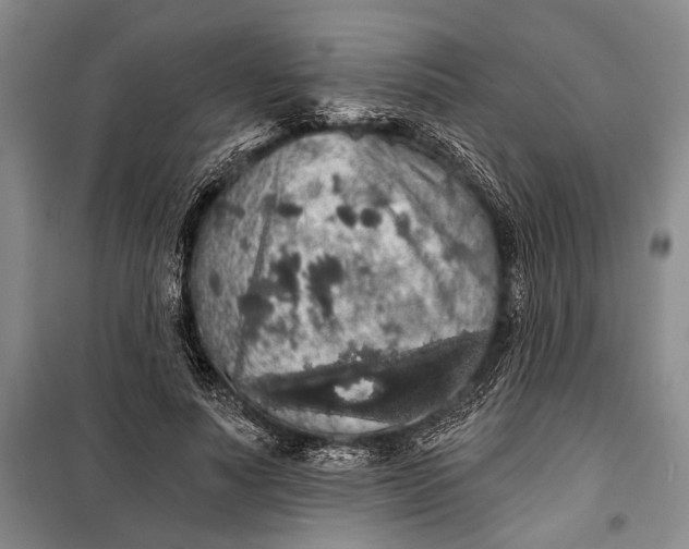 X0000100200691200806131230