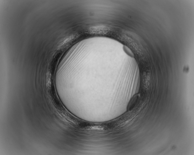 X0000100200692200806131230