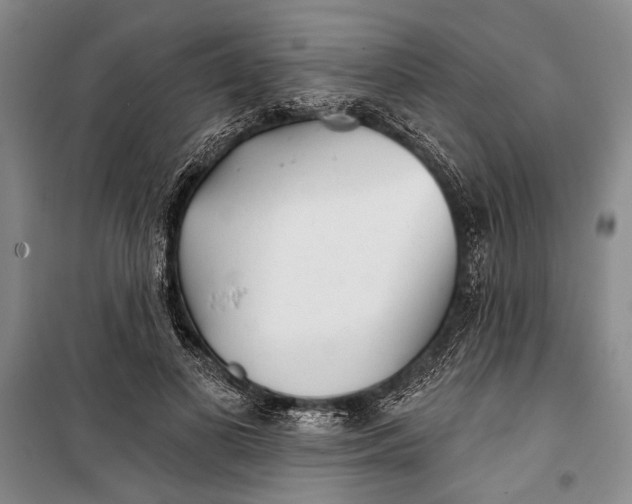 X0000100200693200806131230