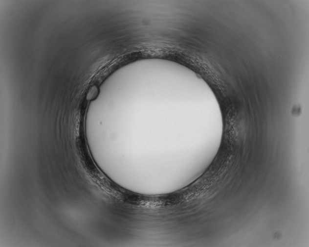 X0000100200694200806131230