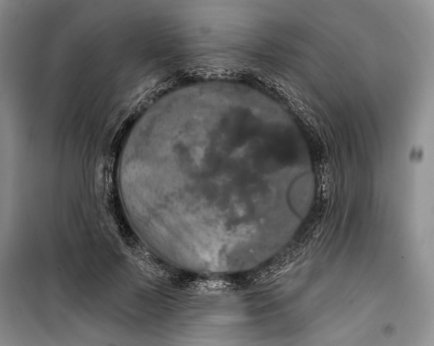 X0000100200695200806131230