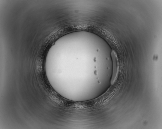 X0000100200697200806131230