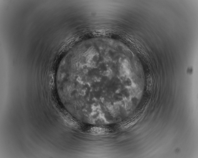 X0000100200699200806131230