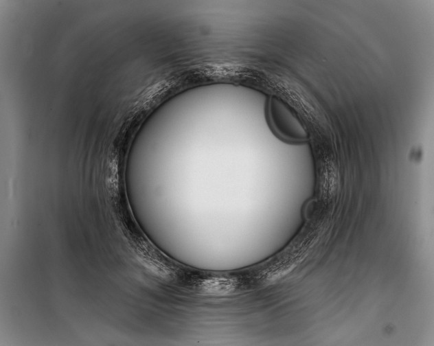 X0000100200700200806131230