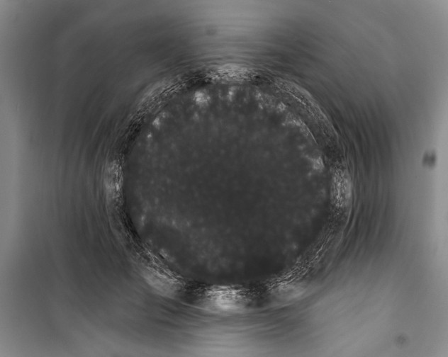 X0000100200701200806131230