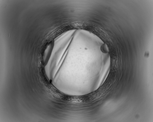 X0000100200702200806131230