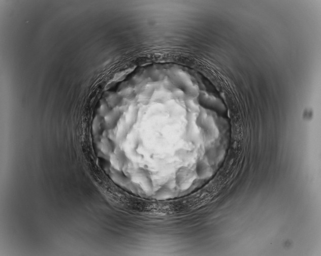 X0000100200703200806131230