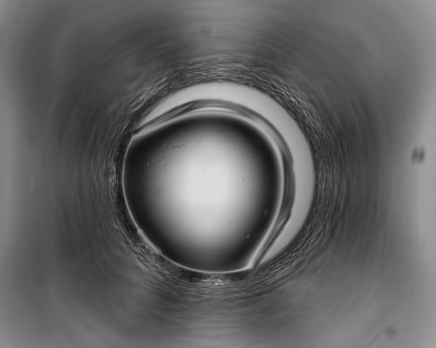 X0000100200704200806131230