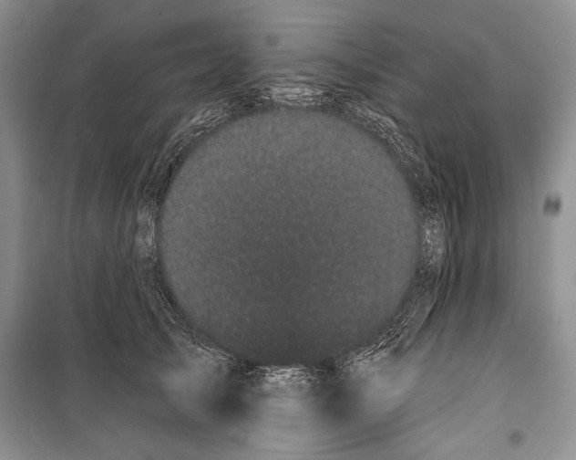 X0000100200705200806131230