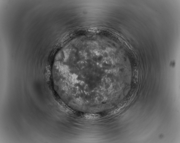 X0000100200707200806131230