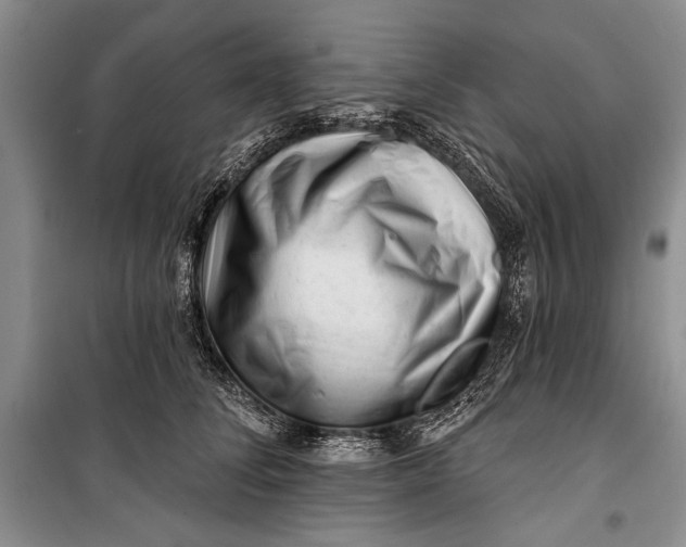 X0000100200708200806131230