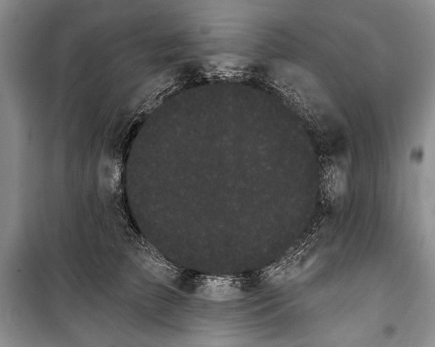 X0000100200709200806131230