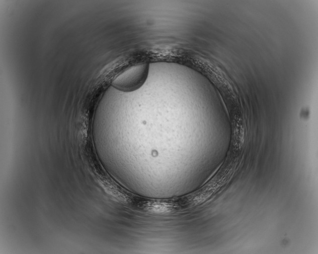 X0000100200710200806131230