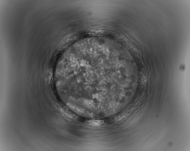 X0000100200711200806131230