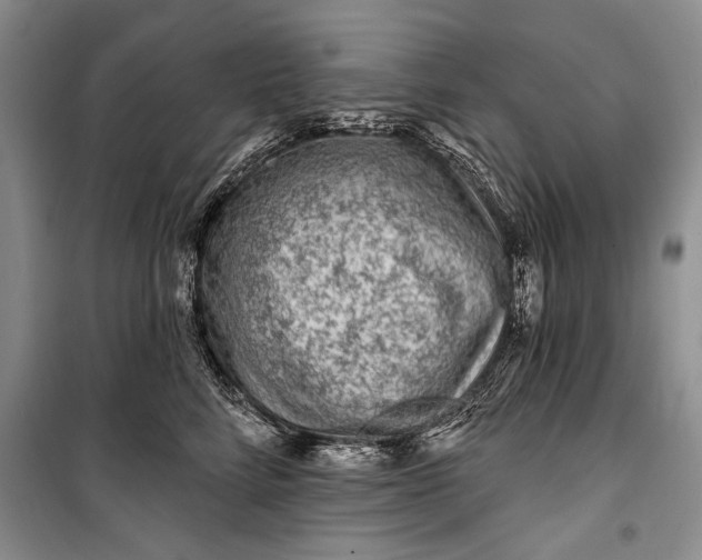 X0000100200712200806131230