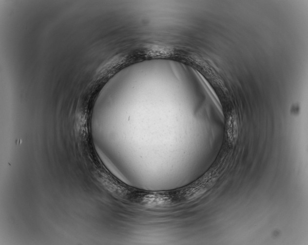 X0000100200714200806131229