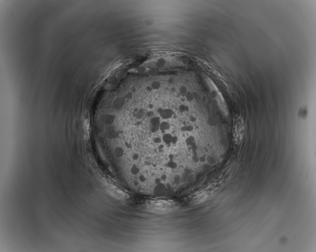 X0000100200716200806131229