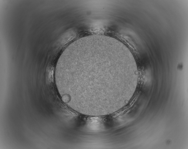 X0000100200717200806131229