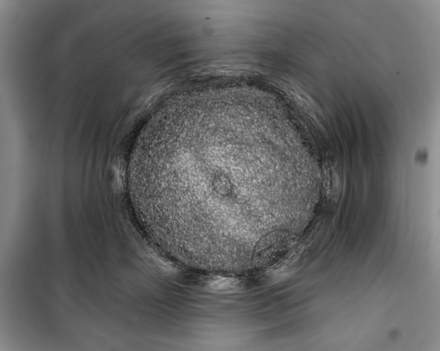 X0000100200718200806131229