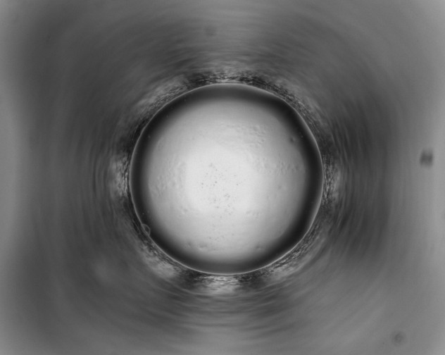 X0000100200719200806131229