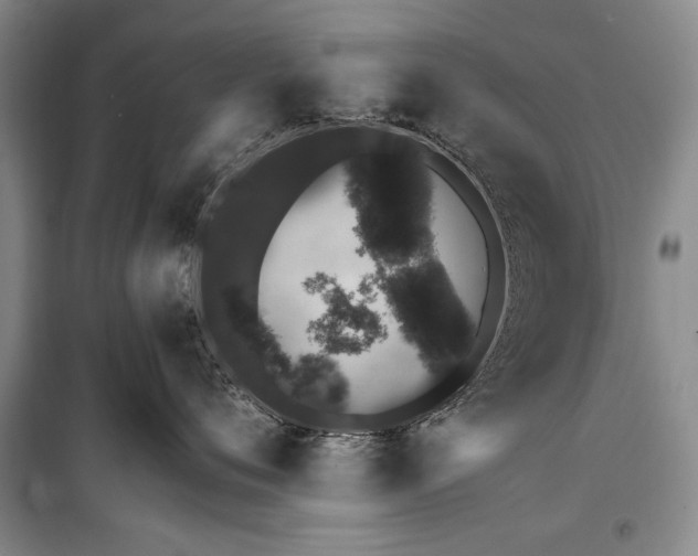 X0000100200720200806131229