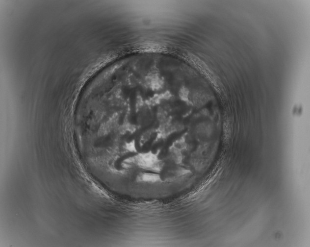 X0000100200721200806131229