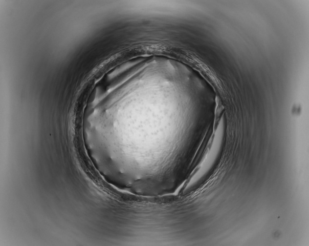 X0000100200722200806131229