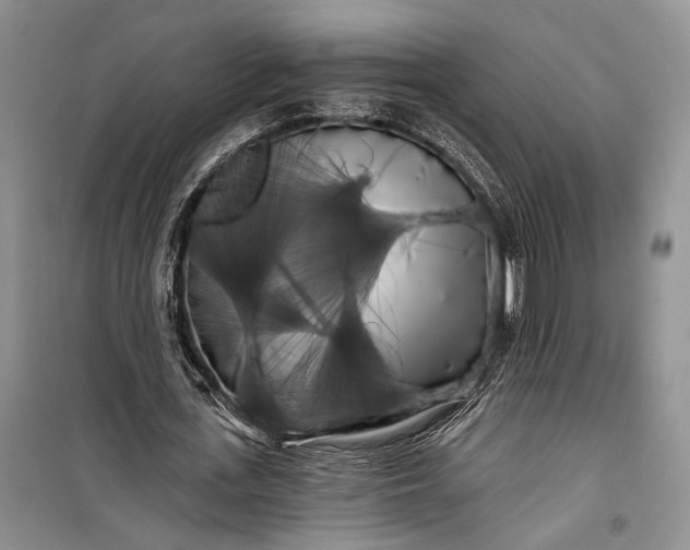 X0000100200723200806131229