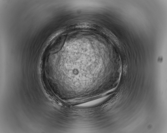 X0000100200724200806131229