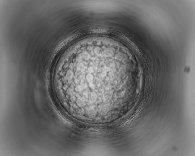 X0000100200725200806131229