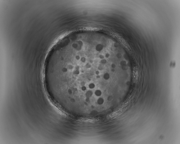 X0000100200726200806131229