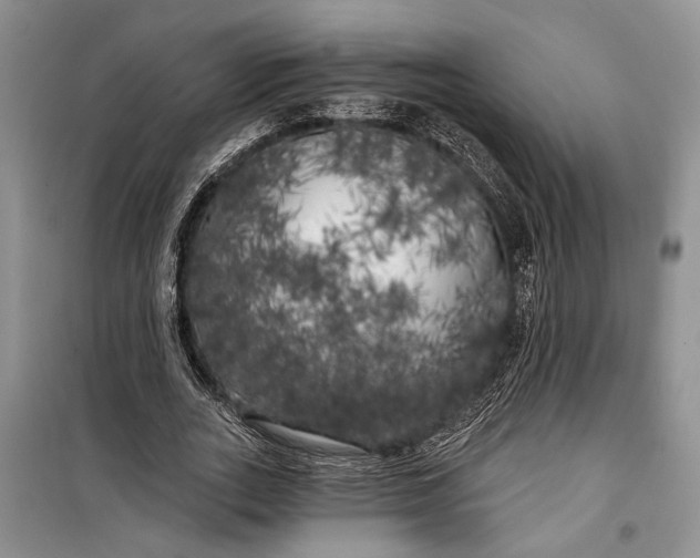 X0000100200727200806131229