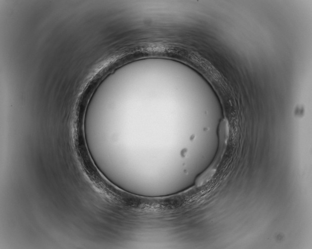 X0000100200728200806131229