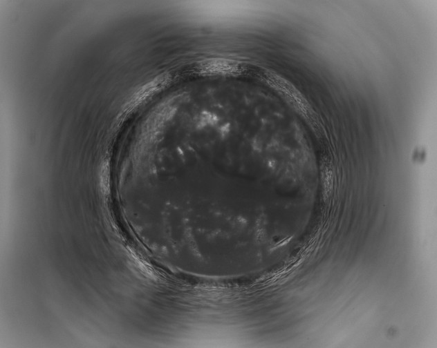 X0000100200729200806131229