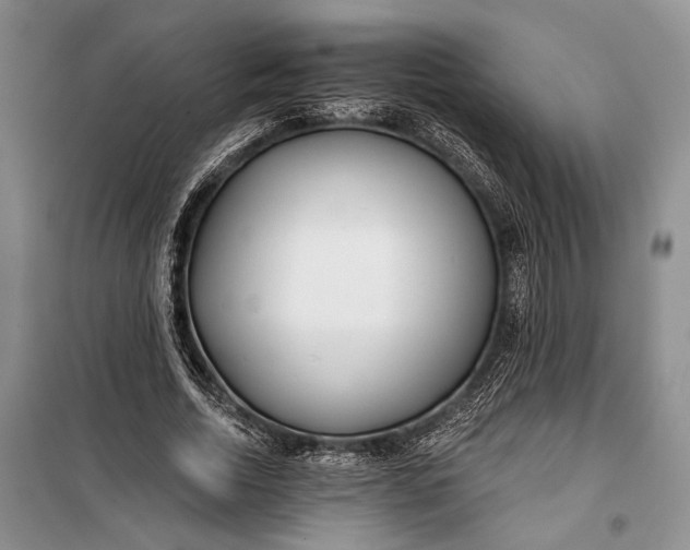 X0000100200730200806131229