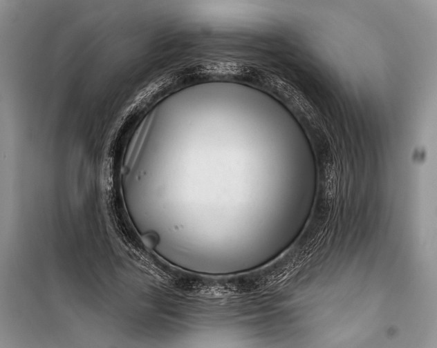 X0000100200731200806131229